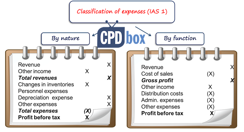 Expenses by function vs by nature