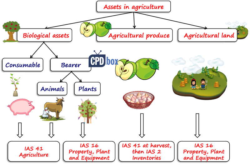 Assets in agriculture