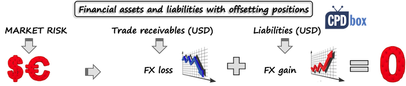 IFRS13OffsettingPosition