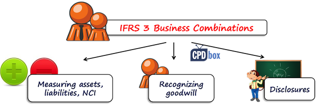 IFRS 3 Objective