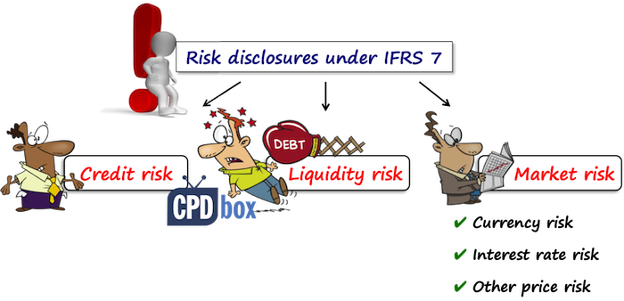 IFRS 7 Risk Disclosures