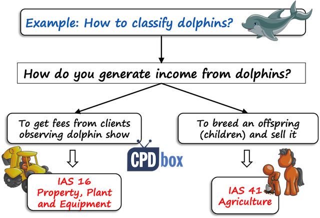 Classification of PPE